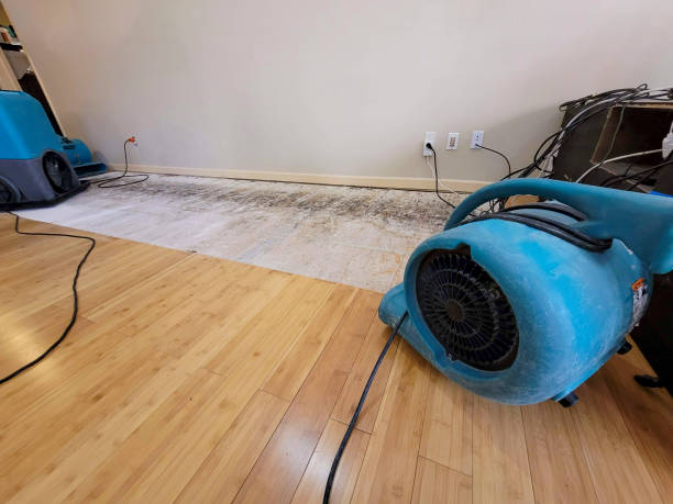 Professional Structural Drying technician working in Turner, OR